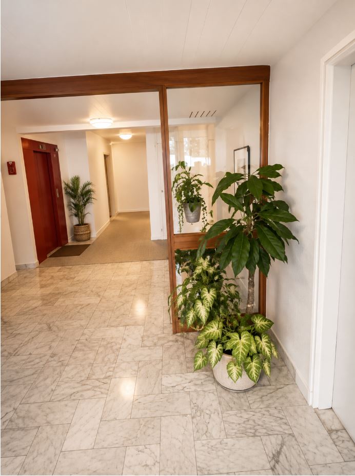 Entrée de l'immeuble de l'appartement de curistes à Dax centre-ville